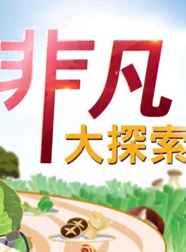千萬粉絲網紅「23分鐘淫片外流」_鏡頭前裸乳又開腿 - 淑女骚视频